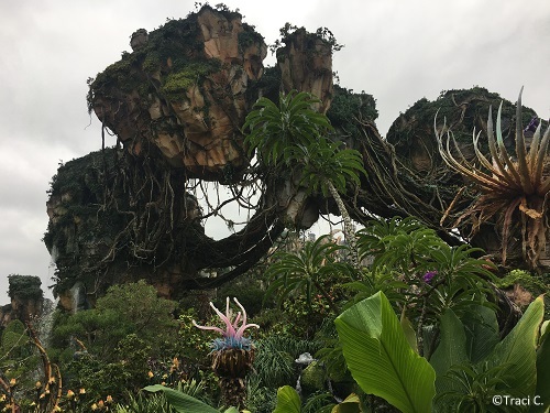 Floating mountains in Pandora - The World of Avatar