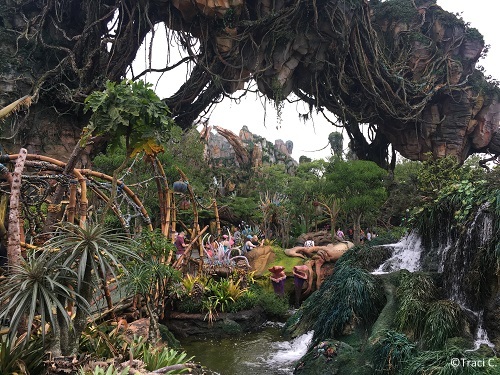 The landscape of Pandora