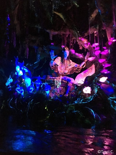 The Shaman of Songs on the Na'vi River Journey attraction