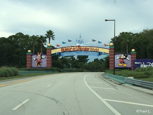 Road contruction planned at Walt Disney World Resort