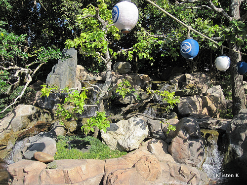 Lantern Hanging Above the Waterfall