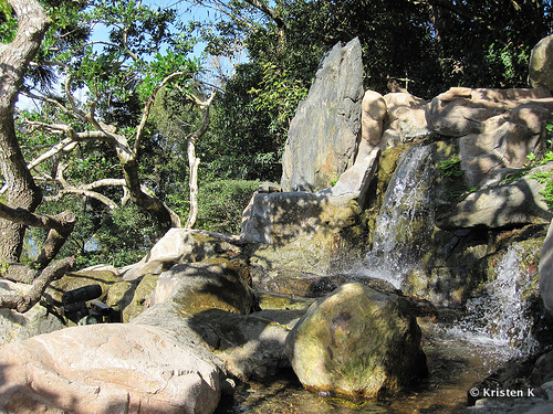 Waterfalls Rush Over Rock