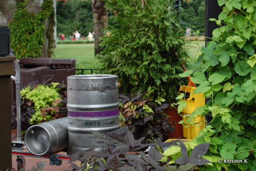 Kegs From Abita Brewing Company