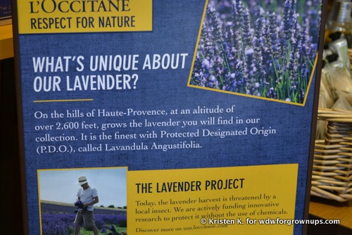 What's So Unique About L'OCCITANE Lavender?
