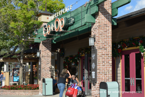 Venture Into The Marketplace-Co-Op