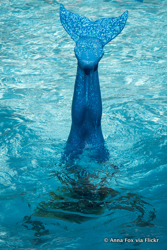 Have You Been Mermaiding?