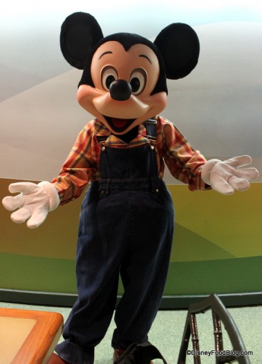 Farmer Mickey at Garden Grill