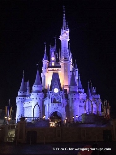 Cinderella Castle
