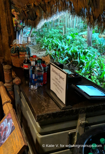 Na'vi River Journey Queue Snack Spot