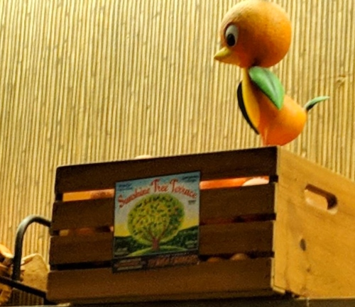 In The Cold Of Winter You Need The Orange Bird