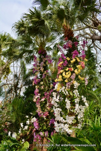 The Trees Contain An Explosion Blooming Color