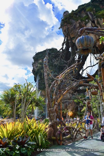 Organic Materials Are Used Everywhere