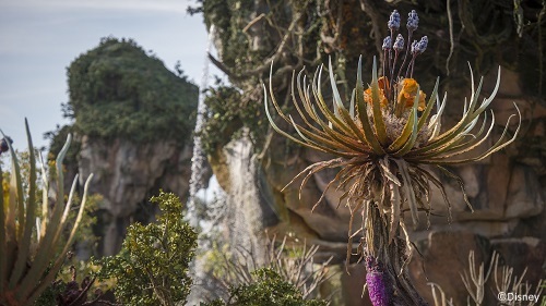 Learn about conservation on Pandora and Earth when visiting Pandora - The World of Avatar