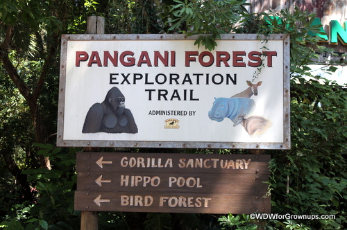 Pangani Forest Exploration Trail