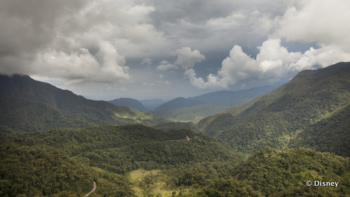 Alto Mayo Protected Forest In Peru
