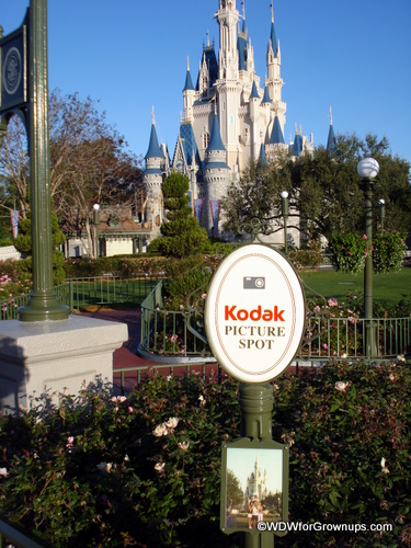 Picture spot at Cinderella Castle