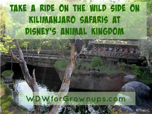 Kilimanjaro Safaris is a must-do attraction at Disney's Animal Kingdom