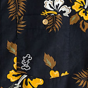 Pocket Detail With A Touch of Mickey