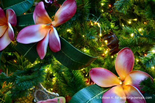 Big Pink Plumeria