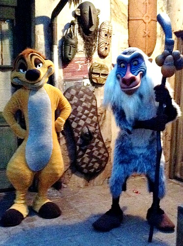Timon and Rafiki Have A Party Planned