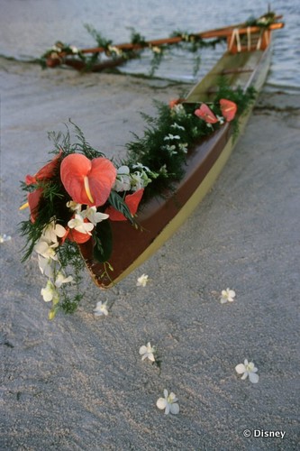 Lovely Polynesian Canoe