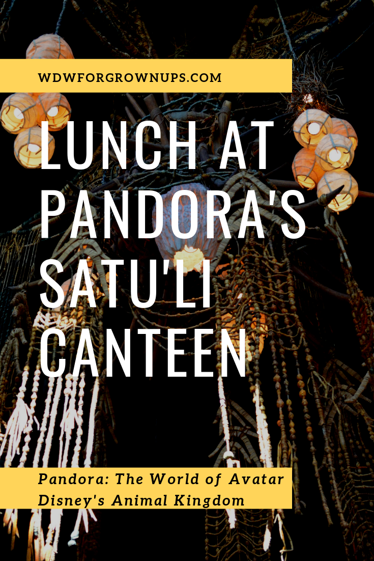 Have Lunch At Pandora's Satu'li Canteen