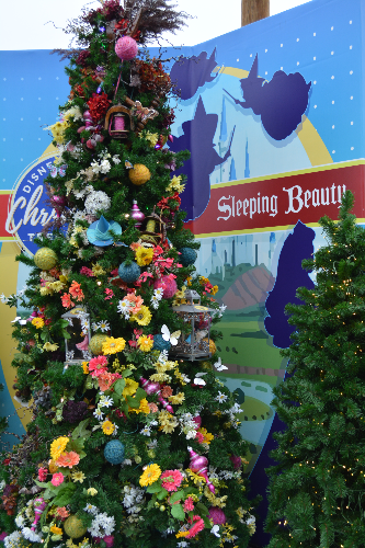 Sleeping Beauty Tree