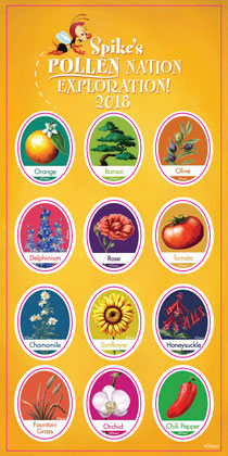Spike's Pollen Nation Exploration Stickers