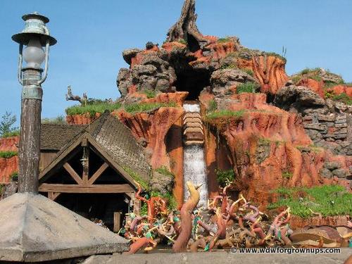 Splash Mountain's Big Plunge