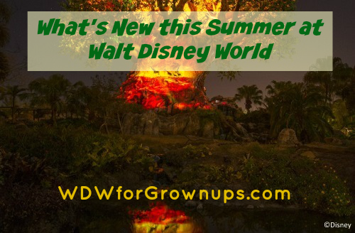 Summer at Walt Disney World is going to be amazing!