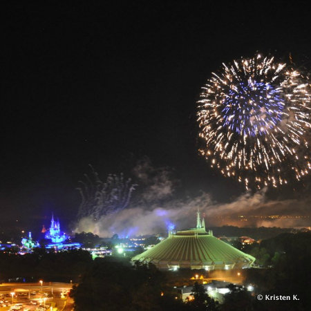 Bay Lake Tower Theme Park View