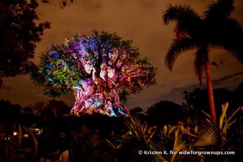 See Simb's Journey On The Tree Of Life