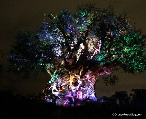 The Tree of Life Awakens