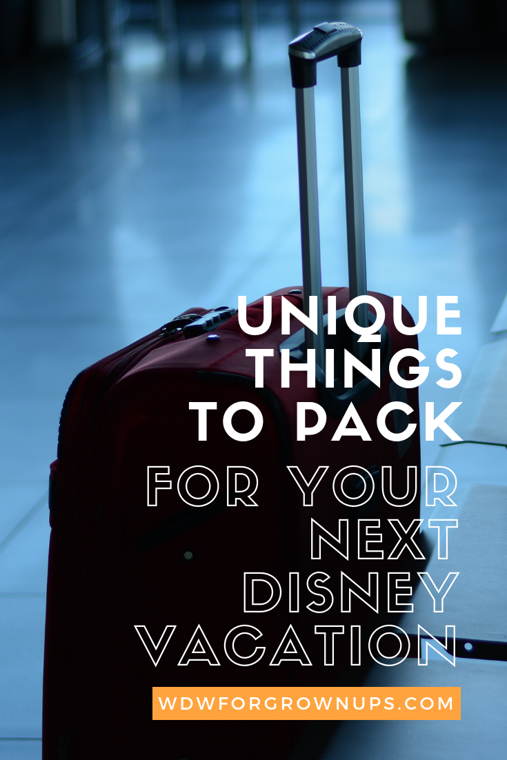 Unique Things To Pack For Your Next Disney Vacation