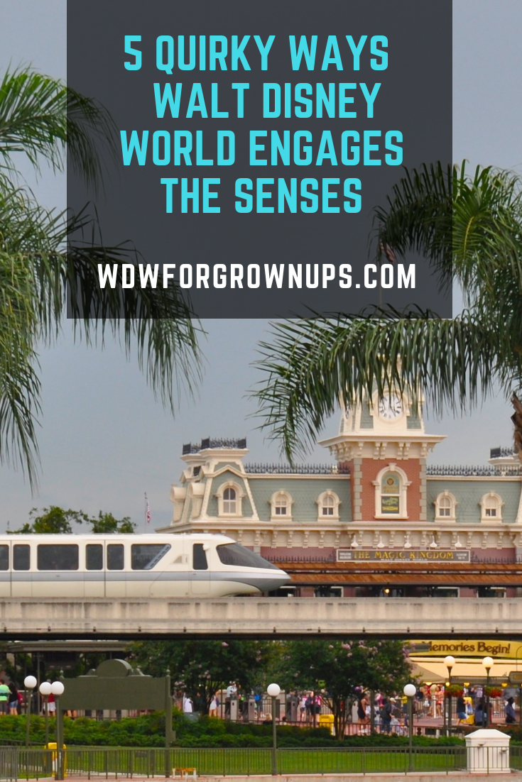 5 Quirky Ways I Love That Walt Disney World Engages The Senses