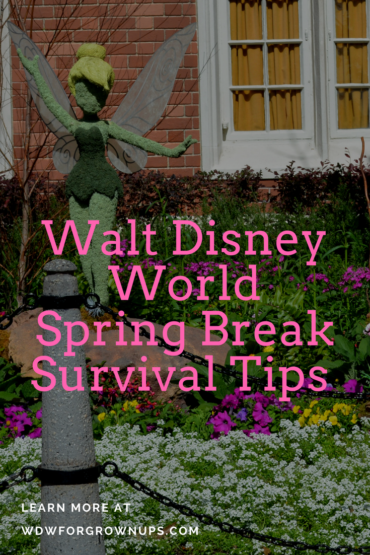 Spring Break Survival Tips for Walt Disney World
