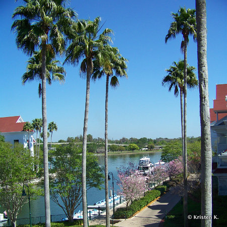 Water View (Marina) at Disney's Grand Floridian