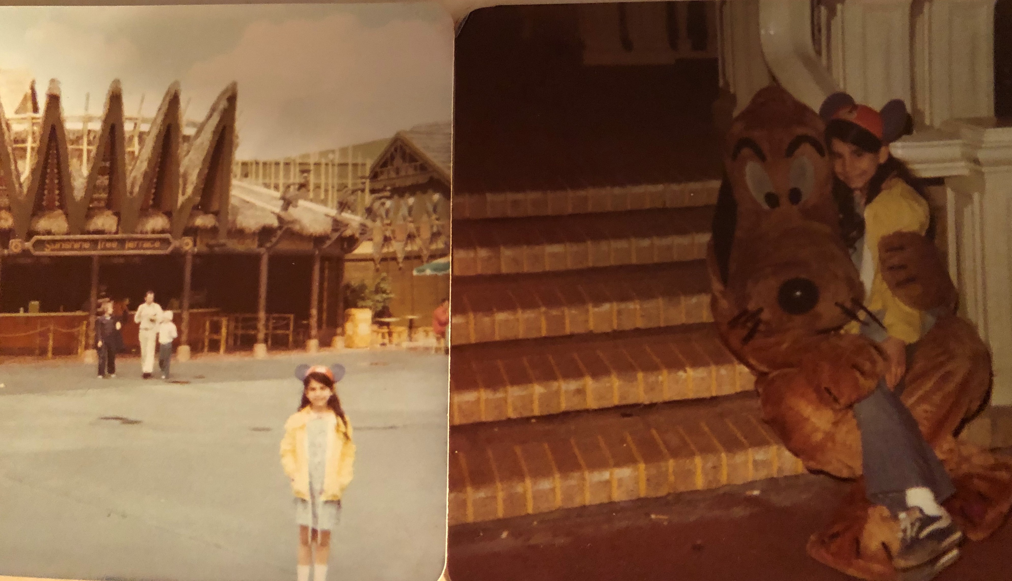 The Sunshine Tree Terrace