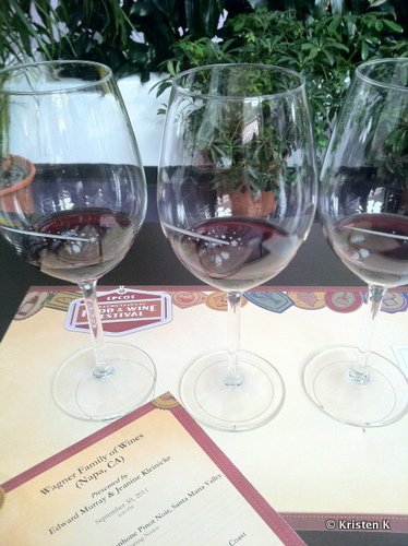Sample a Variety of Wines